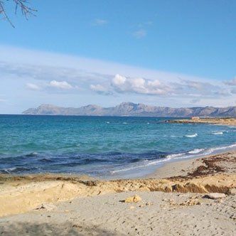 Una playa con montañas al fondo y un gran cuerpo de agua.