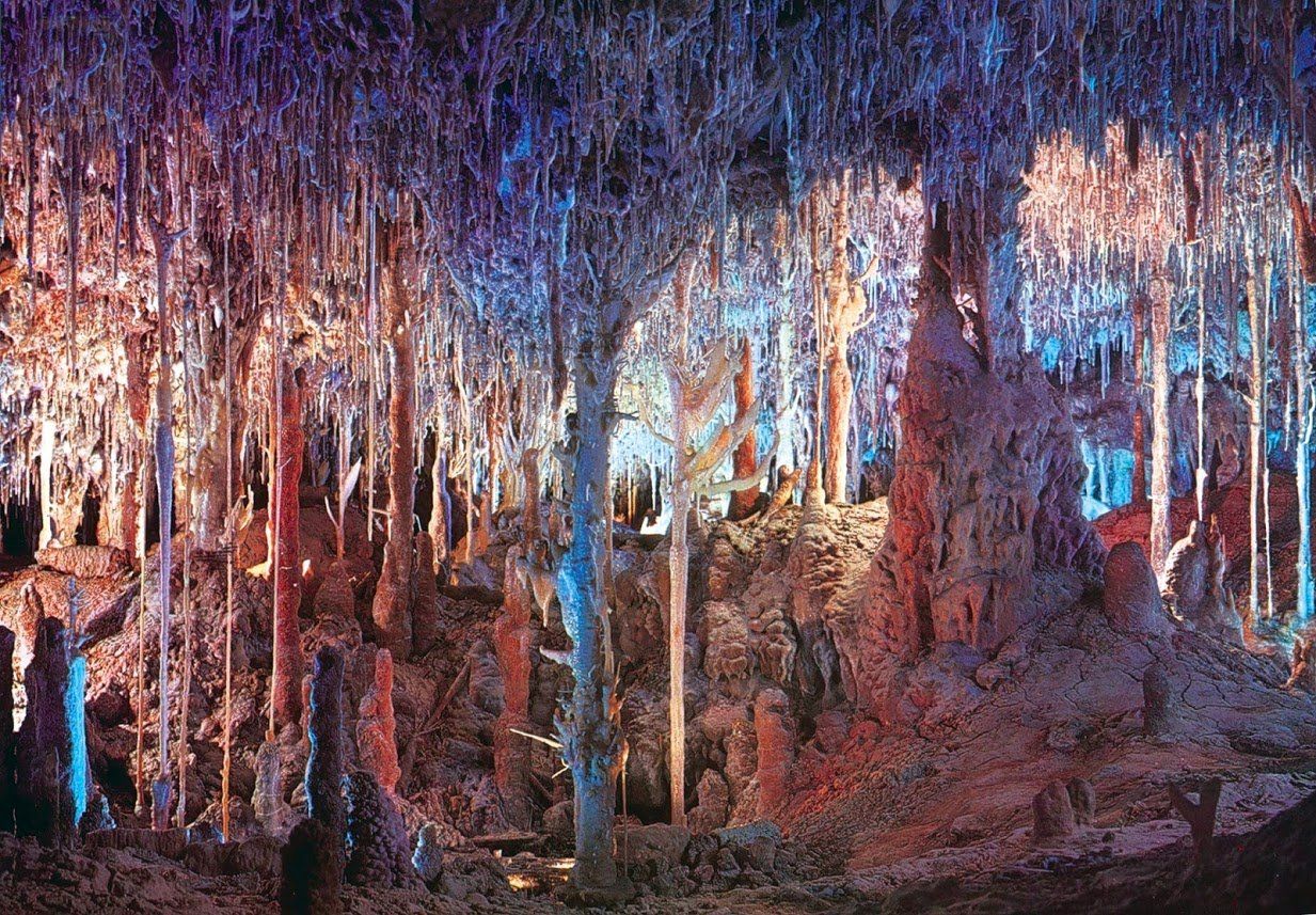 Una cueva llena de árboles y carámbanos colgando del techo.