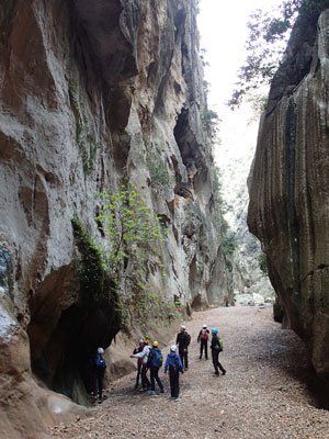 Un grupo de personas se encuentra de pie en un cañón.