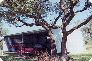 A red truck is parked under a tree in front of a shed