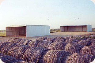 A field of hay bales in front of a building.