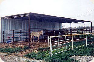 Three horses are standing under a covered shelter in a fenced in area.