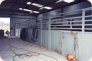 A horse is standing in a fenced in area in a barn.