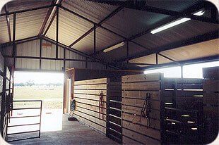 The inside of a horse stable with wooden walls and a metal roof.