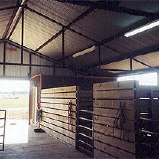 The inside of a horse stable with wooden walls and a metal roof.
