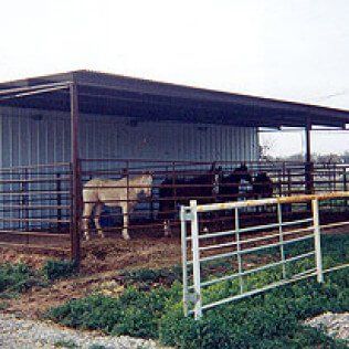 A group of horses are standing in a fenced in area under a shed.