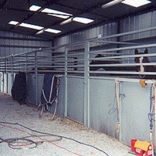 A horse is standing in a stable behind a fence.