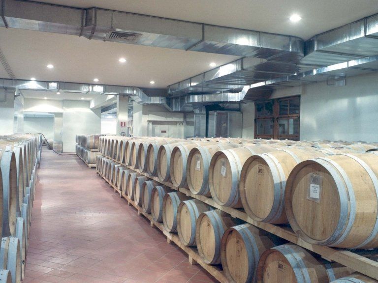 impianto climatizzazione cantina