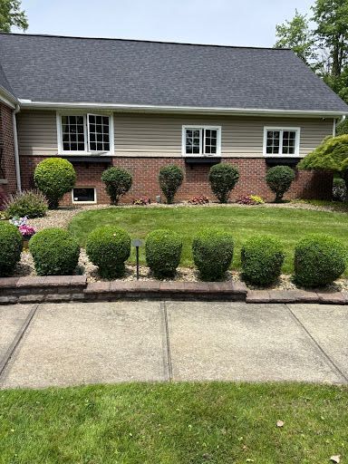 A man is cutting a bush with a pair of scissors.