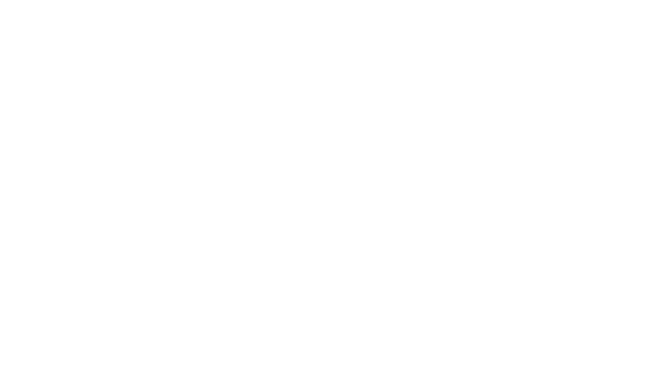 RPainter Logo