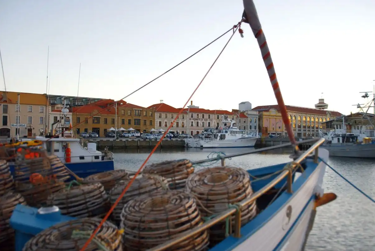 A boat filled with baskets is docked in a harbor