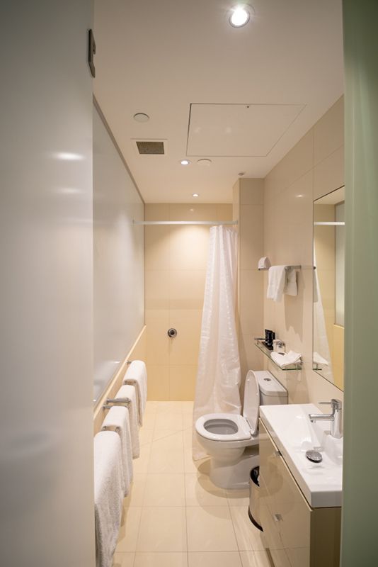 A Bathroom With a Toilet, Sink, Mirror, and Shower Curtain — Glen Lamberts Wall Cladding & Home Improvements in Pampoolah, NSW