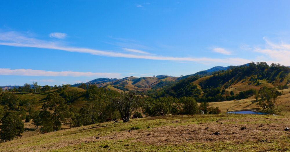 A Field With Trees and Mountains in the Background on a Sunny Day — Glen Lamberts Wall Cladding & Home Improvements in Gloucester, NSW