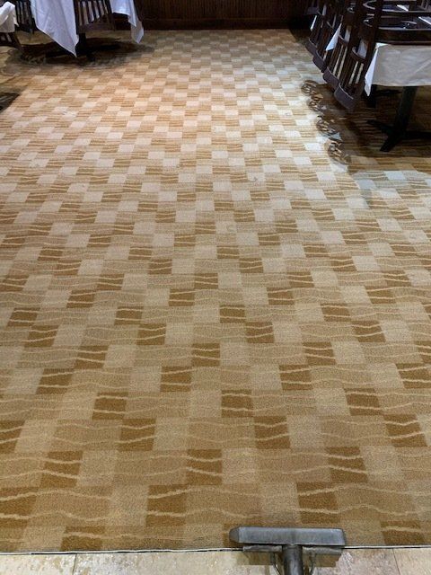 After Carpet 2 — South Bend, IN — Crimmins Carpet Services