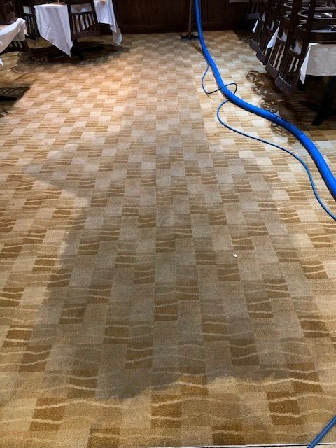 Before Carpet 2 — South Bend, IN — Crimmins Carpet Services