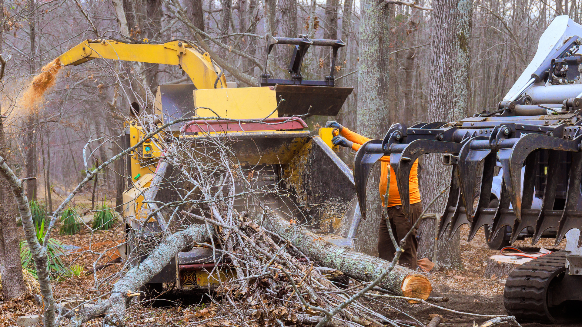 A yellow wood chipper shreds logs in a wooded area; a claw machine feeds logs into it.