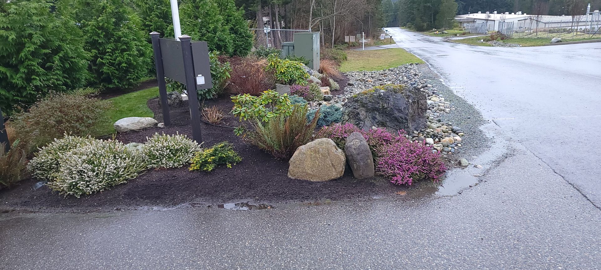 A colorful garden bed with various plants and rocks, next to a paved road.