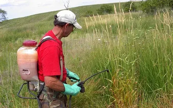 Person spraying ground cover with a hose. They wear safety glasses, a vest, and khaki pants.