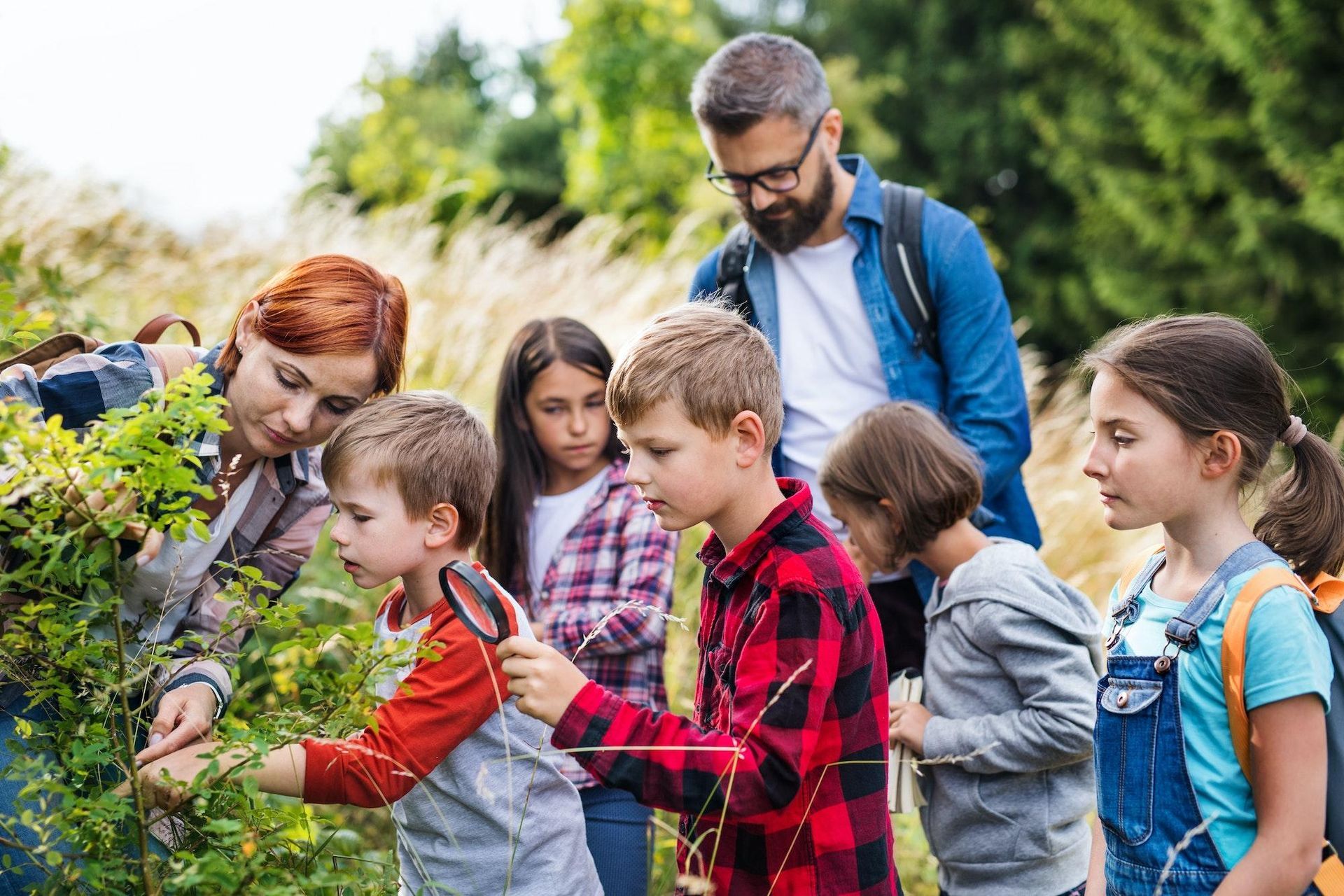 school children on nature walk with teachers