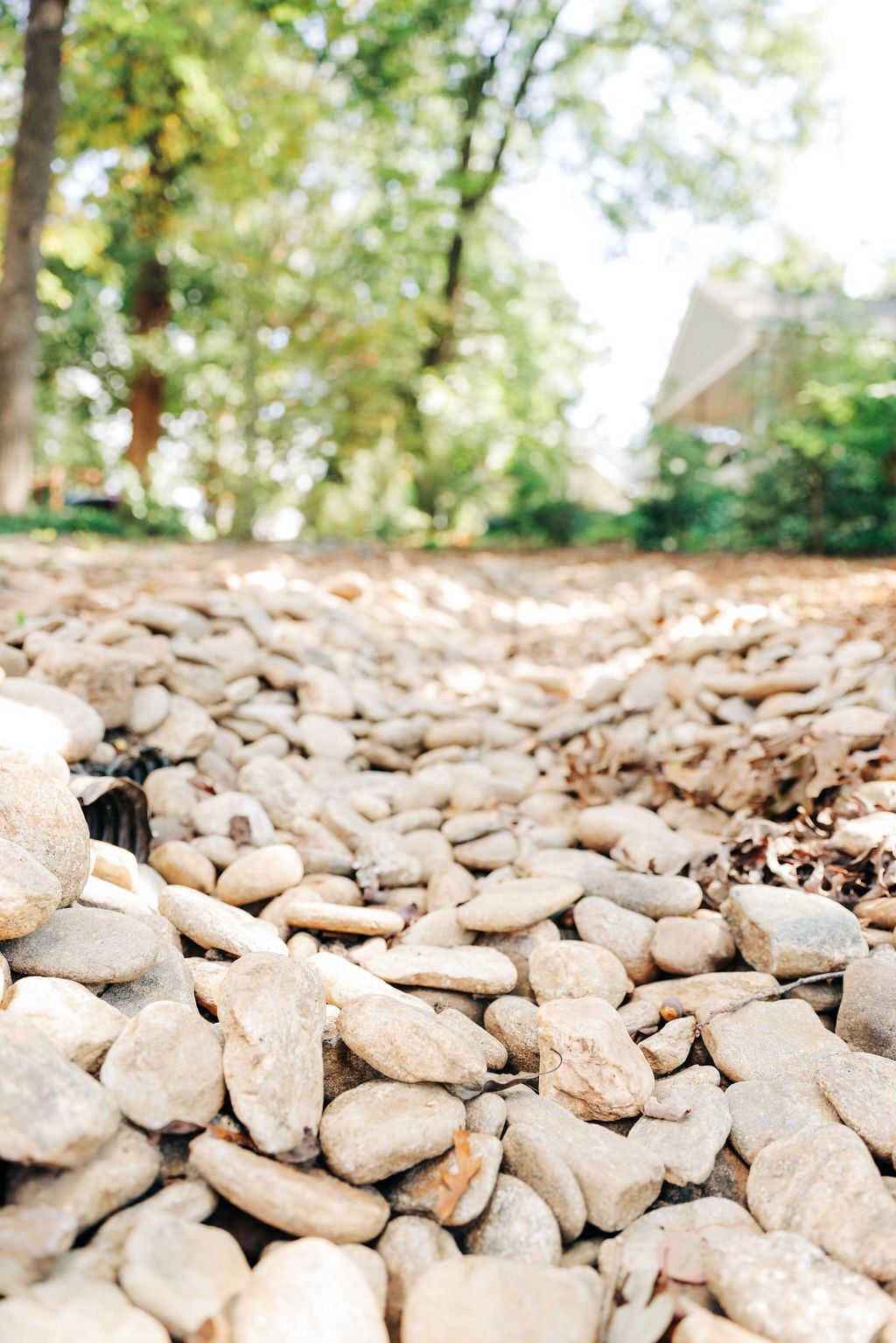 Close up of River Rocks