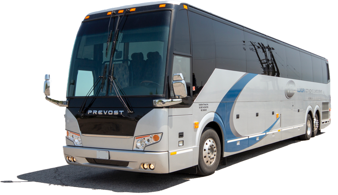 Coach Bus Services Hamilton
