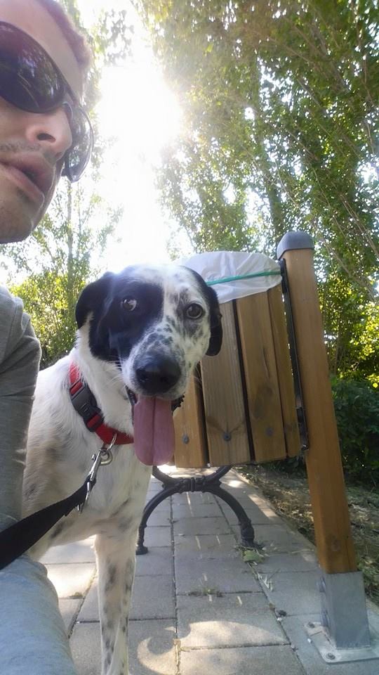 Cane per per therapy