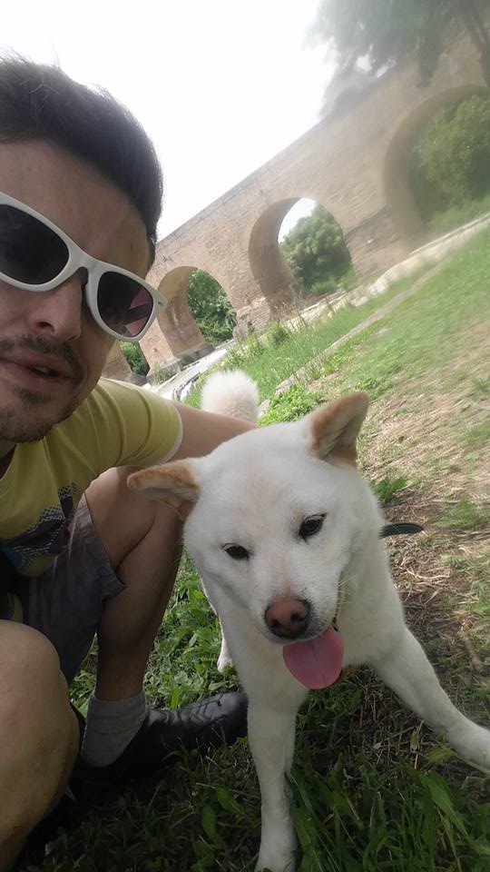 Assistenza alla persona con cani