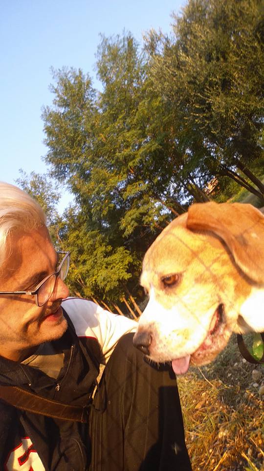 Pet therapy