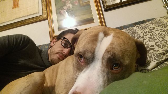 Dogsitting