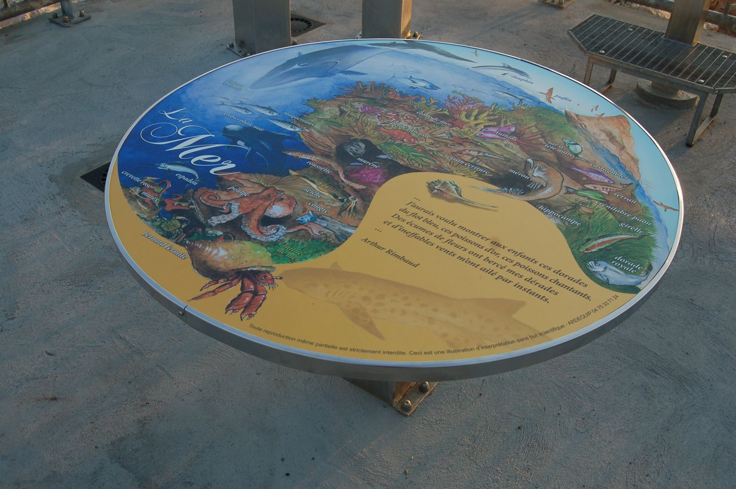 Ein runder Tisch mit einem Bild von Krabben darauf