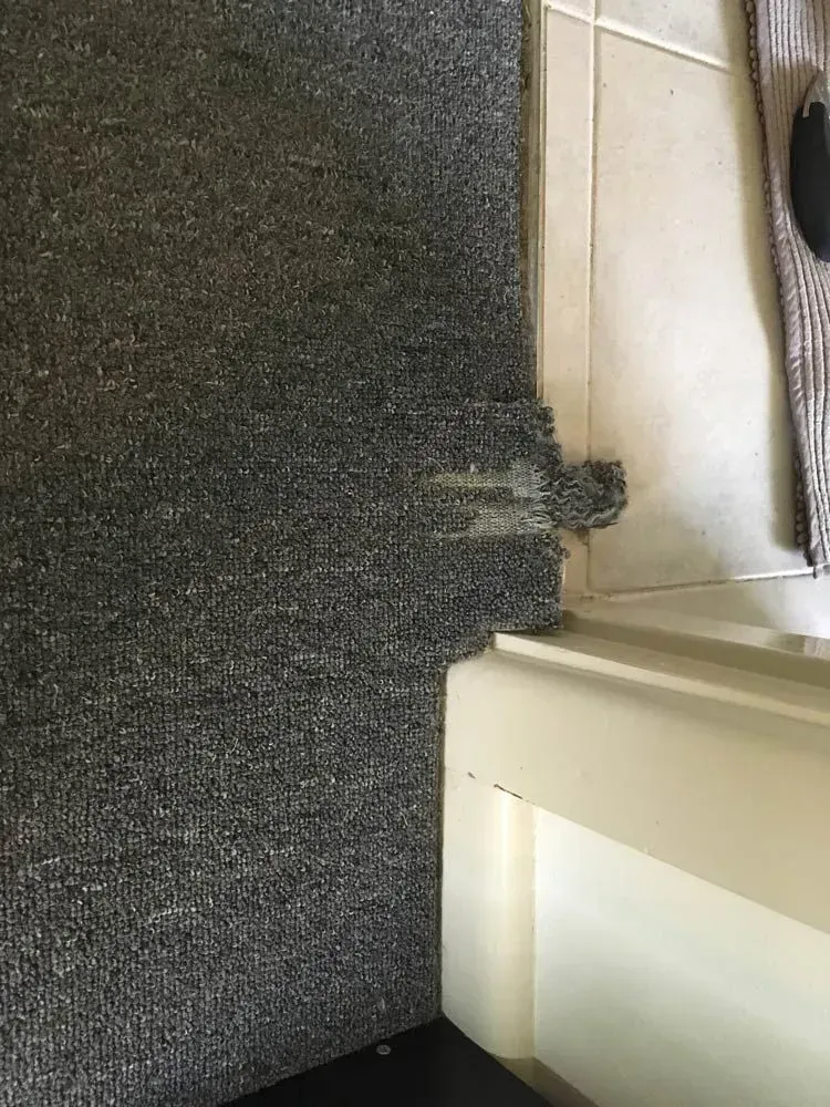 Carpet Frayed, Seams and Tears Repair Sydney