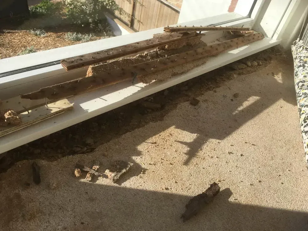 Subfloor carpet repairs sy