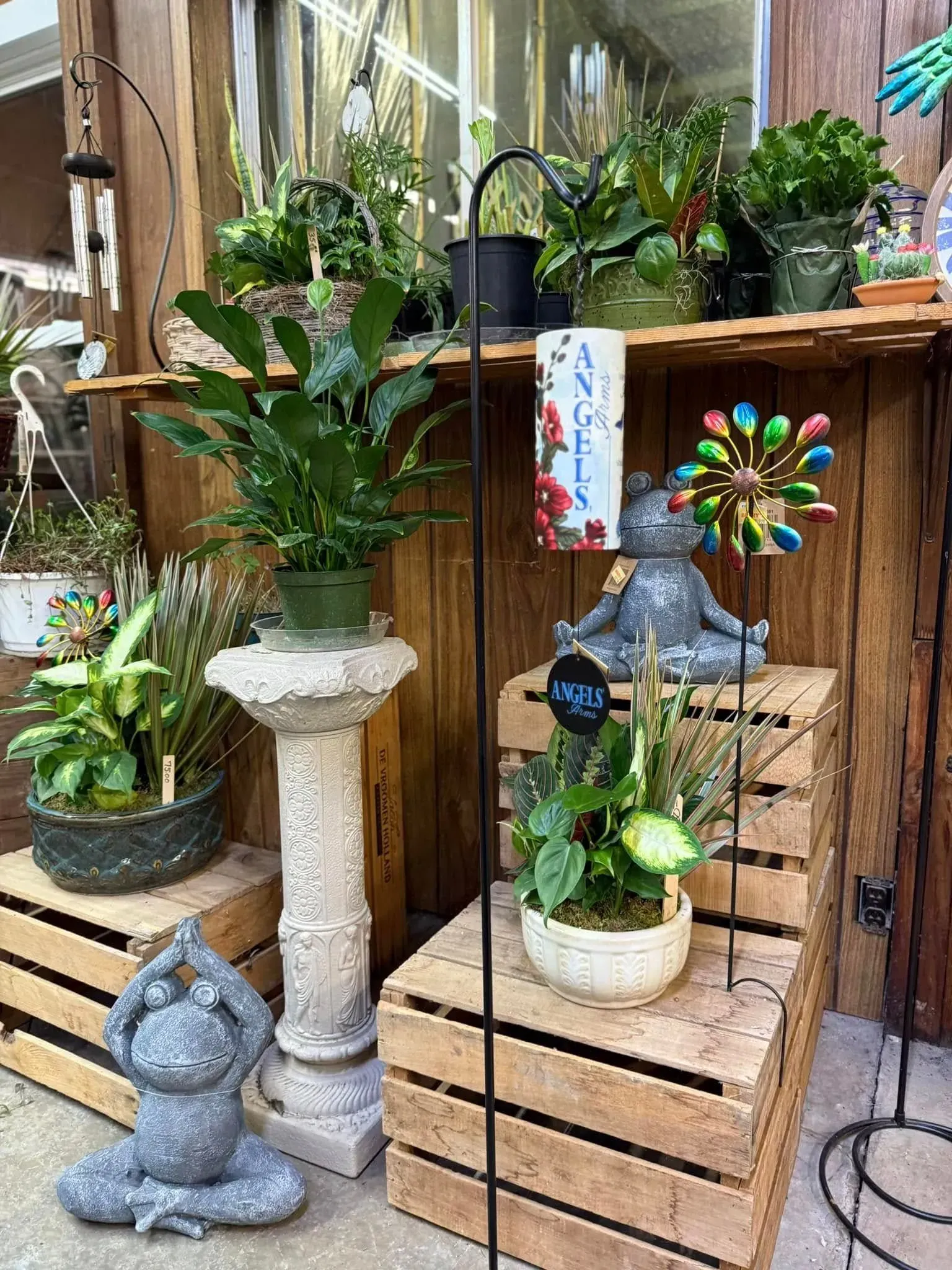 Display of potted plants and garden décor in a wood-shelved outdoor shop setting. Includes a yoga frog statue.