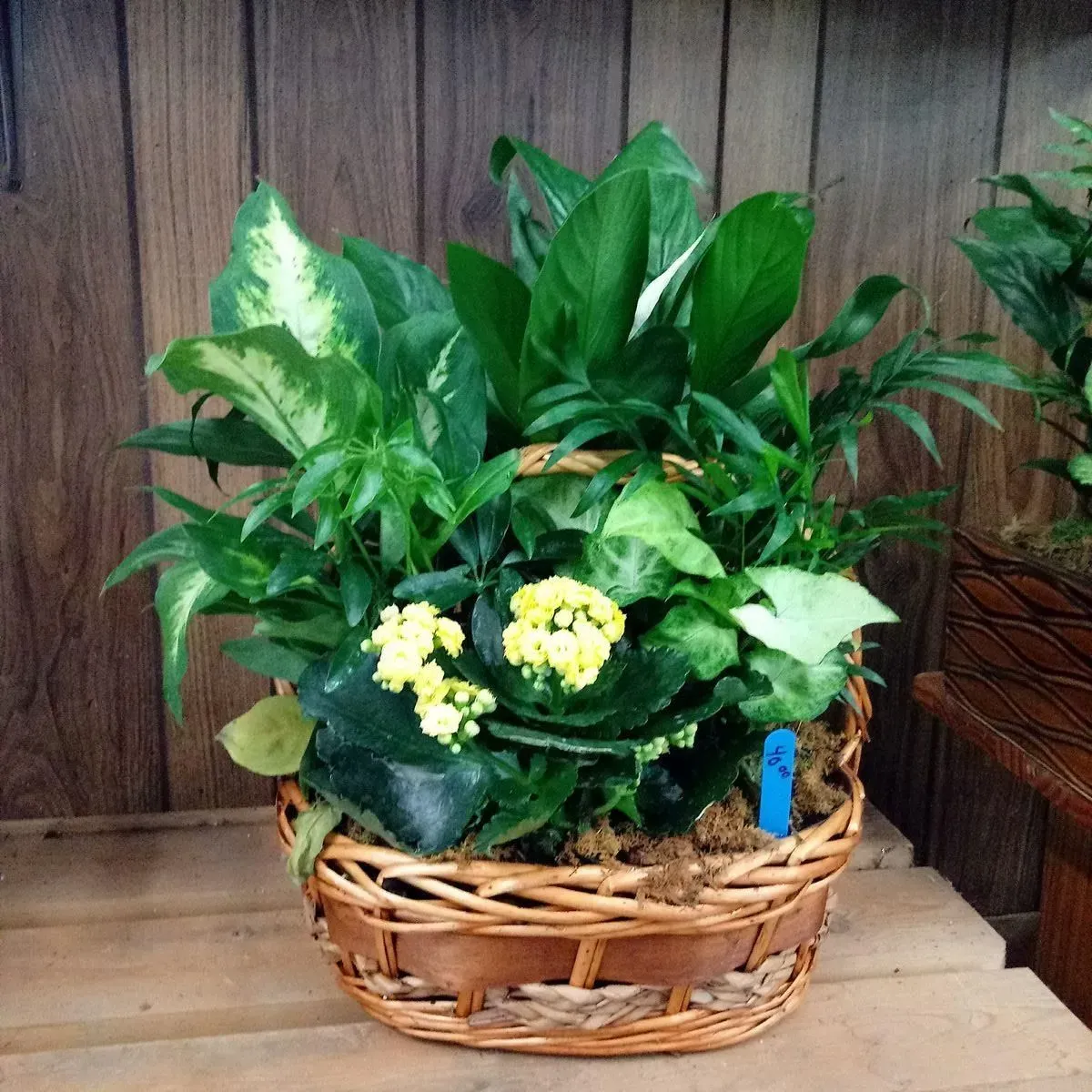 Basket of mixed green plants with yellow flowers, set on a wooden surface.