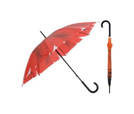 Paraguas Mango Curvo