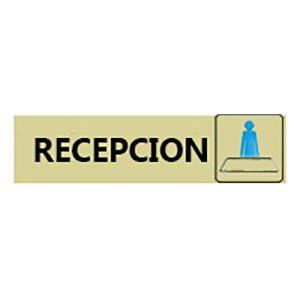 Recepción