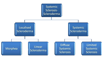 Scleroderma Diagram — Sydney, NSW — The Scleroderma Association of NSW Inc.