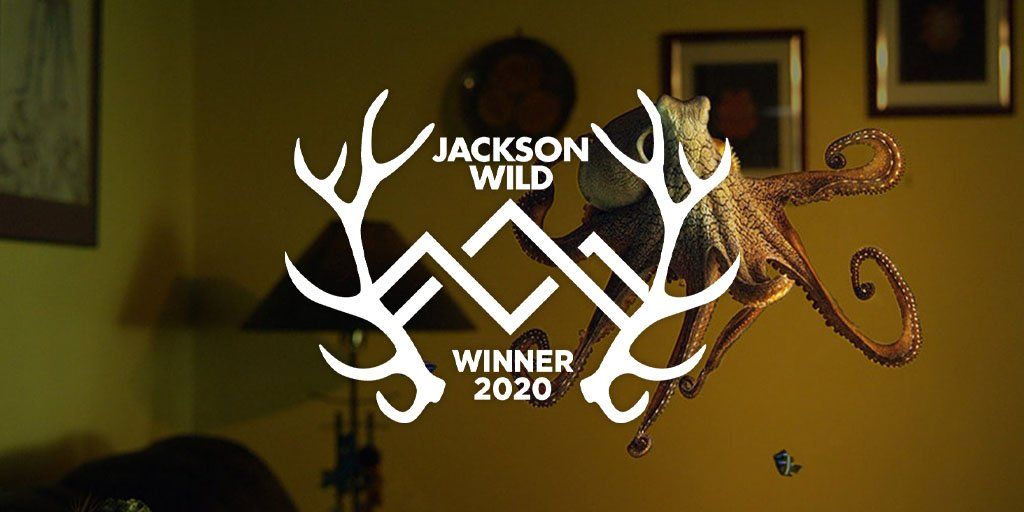 Award win Jackson Wild 2020