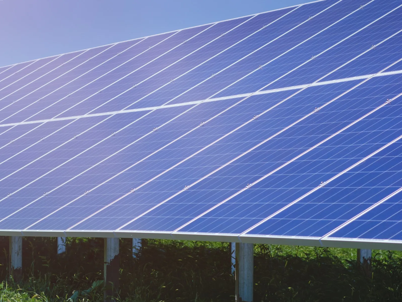 A row of solar panels in a field with a blue sky in the background