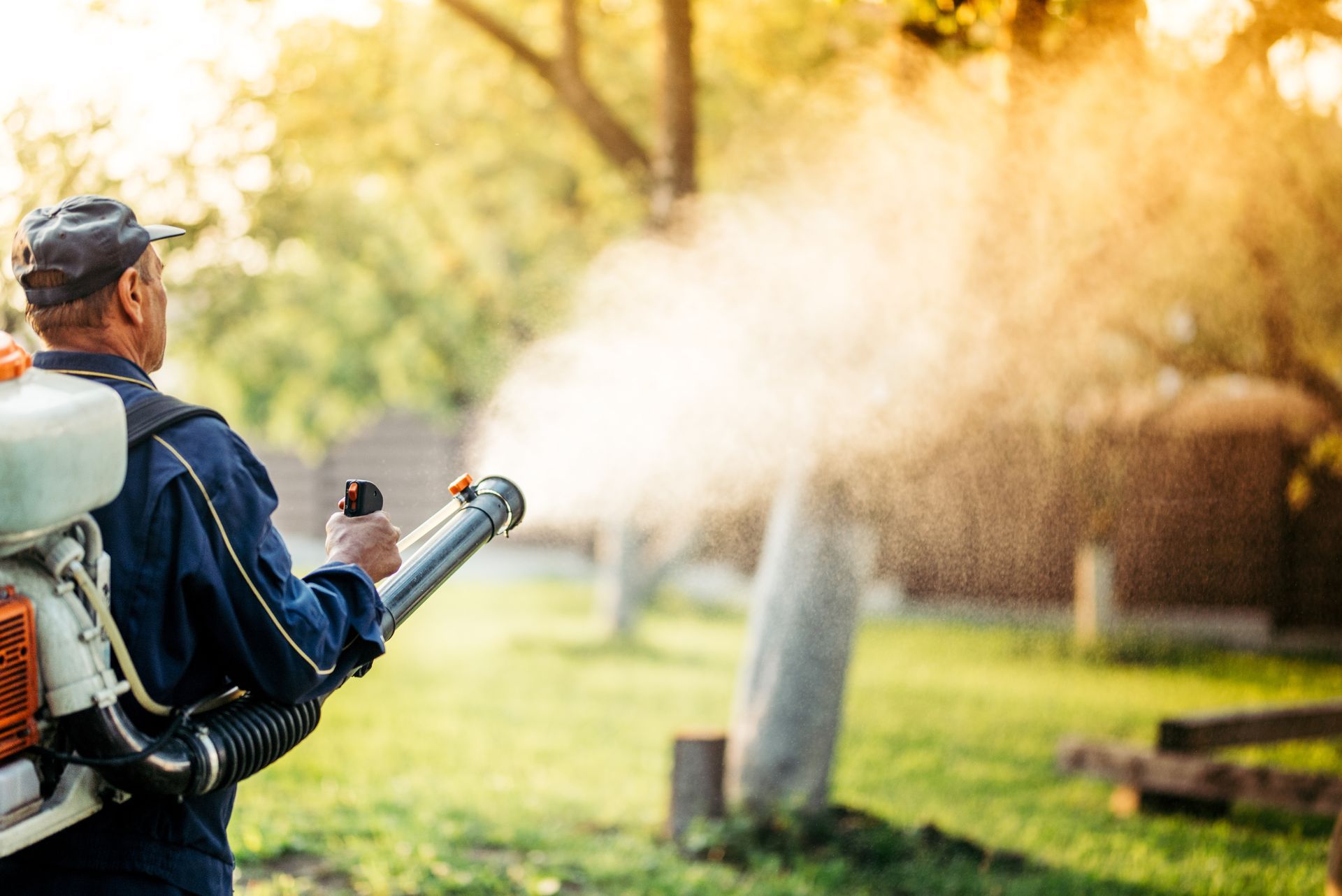 A farmer uses a sprayer machine for pesticide control in a fruit orchard during sunset.