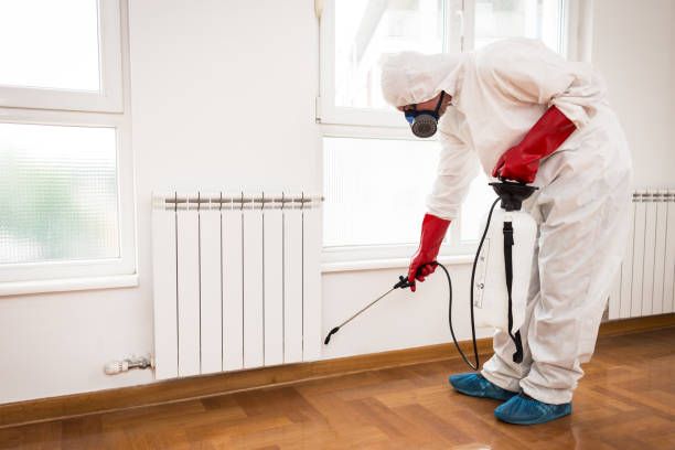 An exterminator in workwear spraying pesticide with a sprayer.