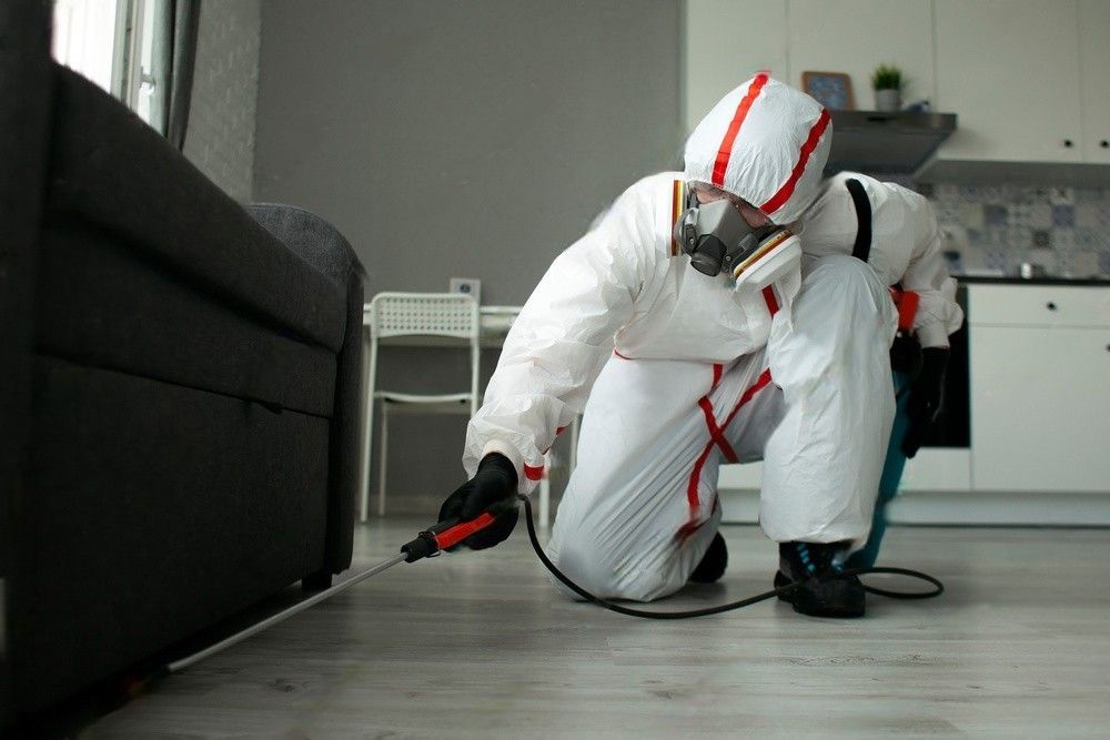 Person in protective suit spraying insecticide near a sofa in a home.