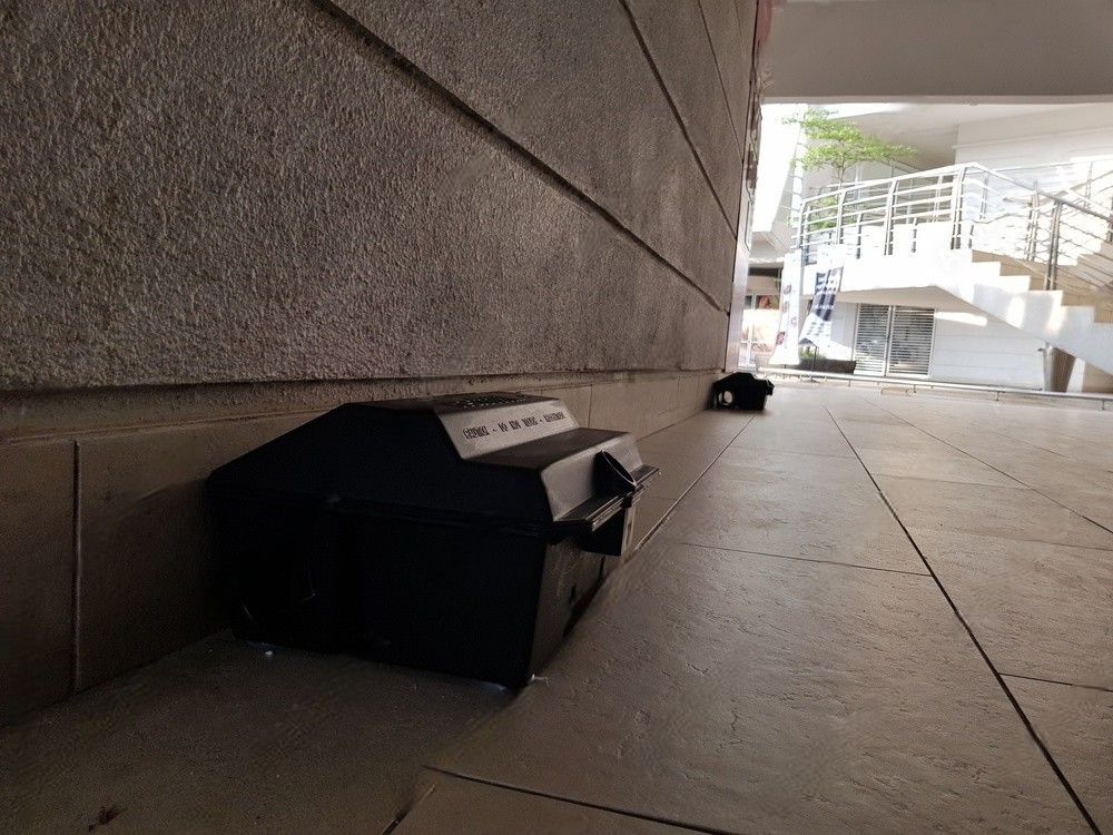 An office building rat trap with poison, strategically positioned in a shaded area for pest control.