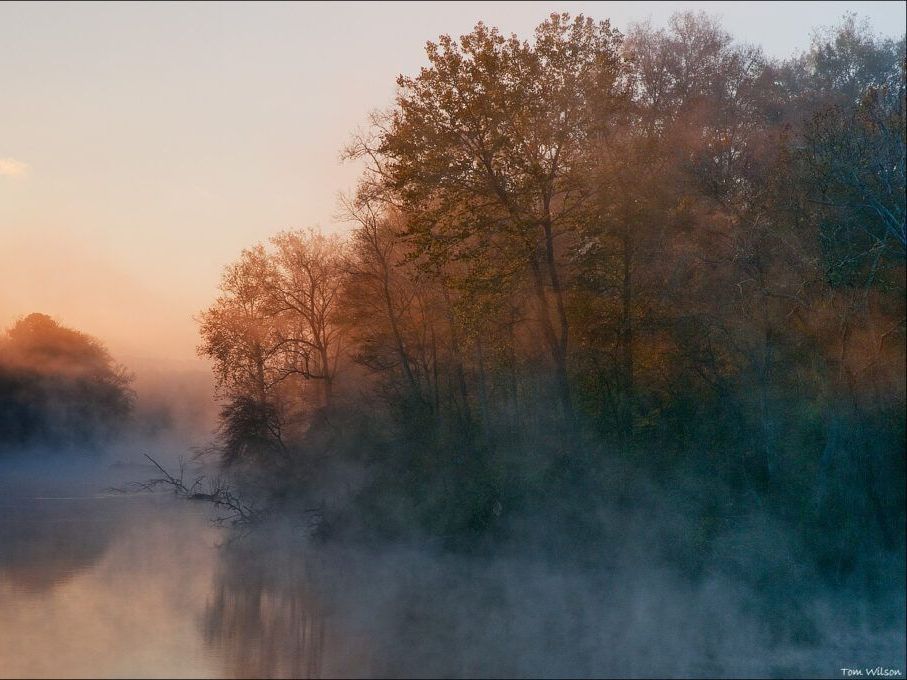 A foggy river surrounded by trees at sunset