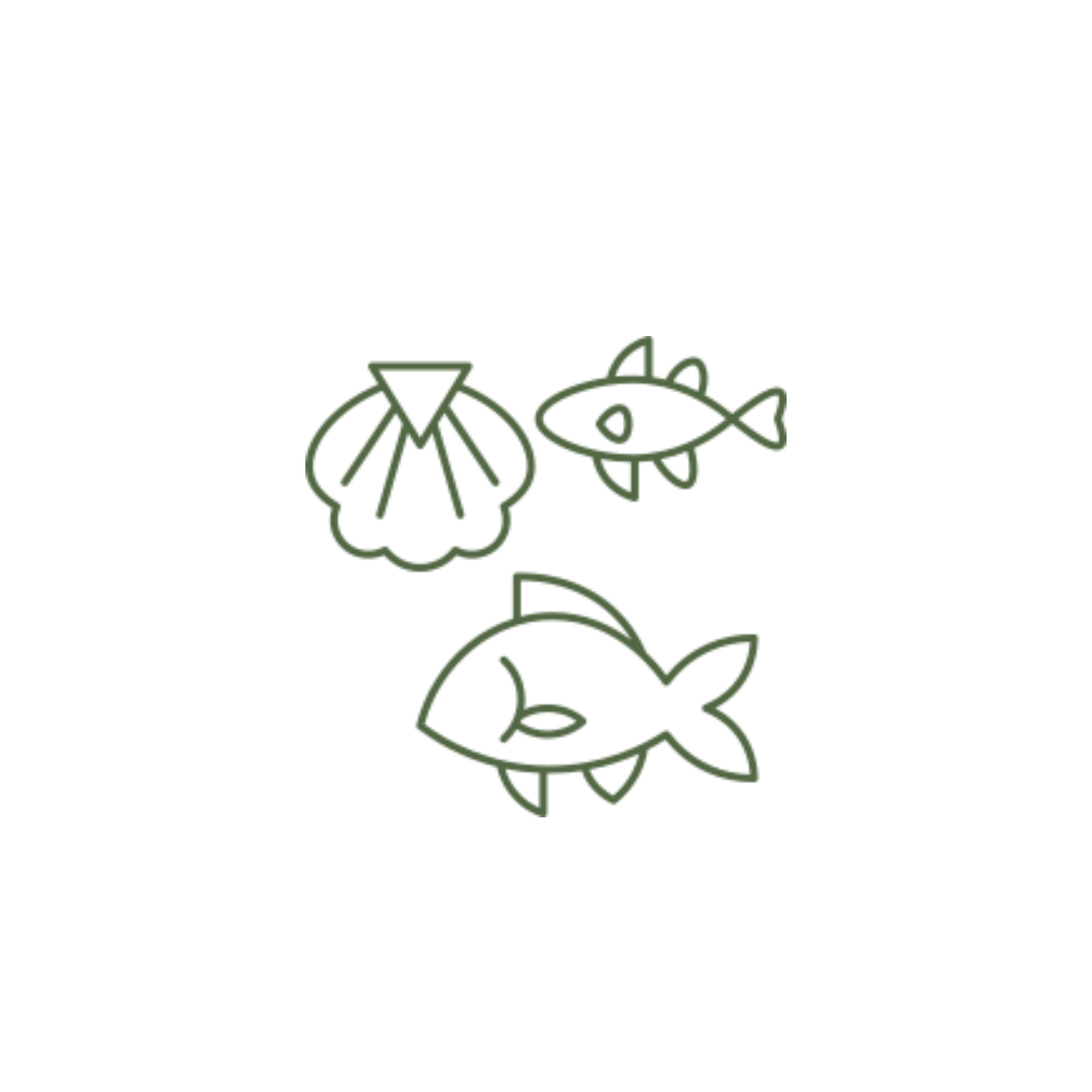 A line drawing of a shell , fish , and shark.