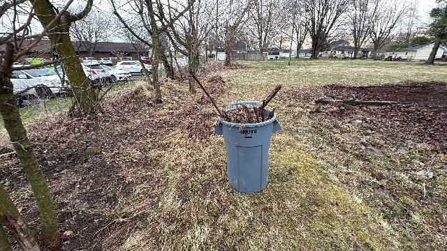 Blue trash can filled with leaves and branches outdoors, surrounded by bare trees and grassy ground.