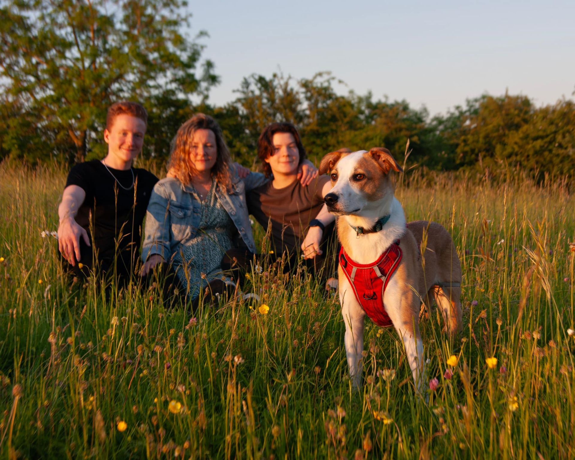 Three people and a dog are sitting in a field of tall grass.
