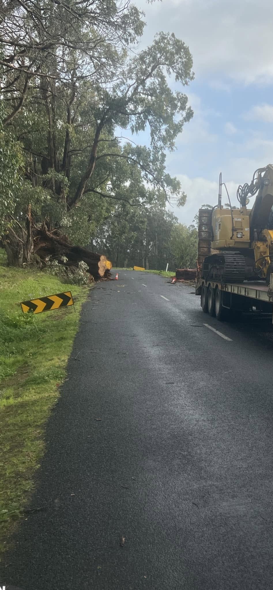 Wet road beside trees, with a yellow road machine on the right and lane markings on the left.