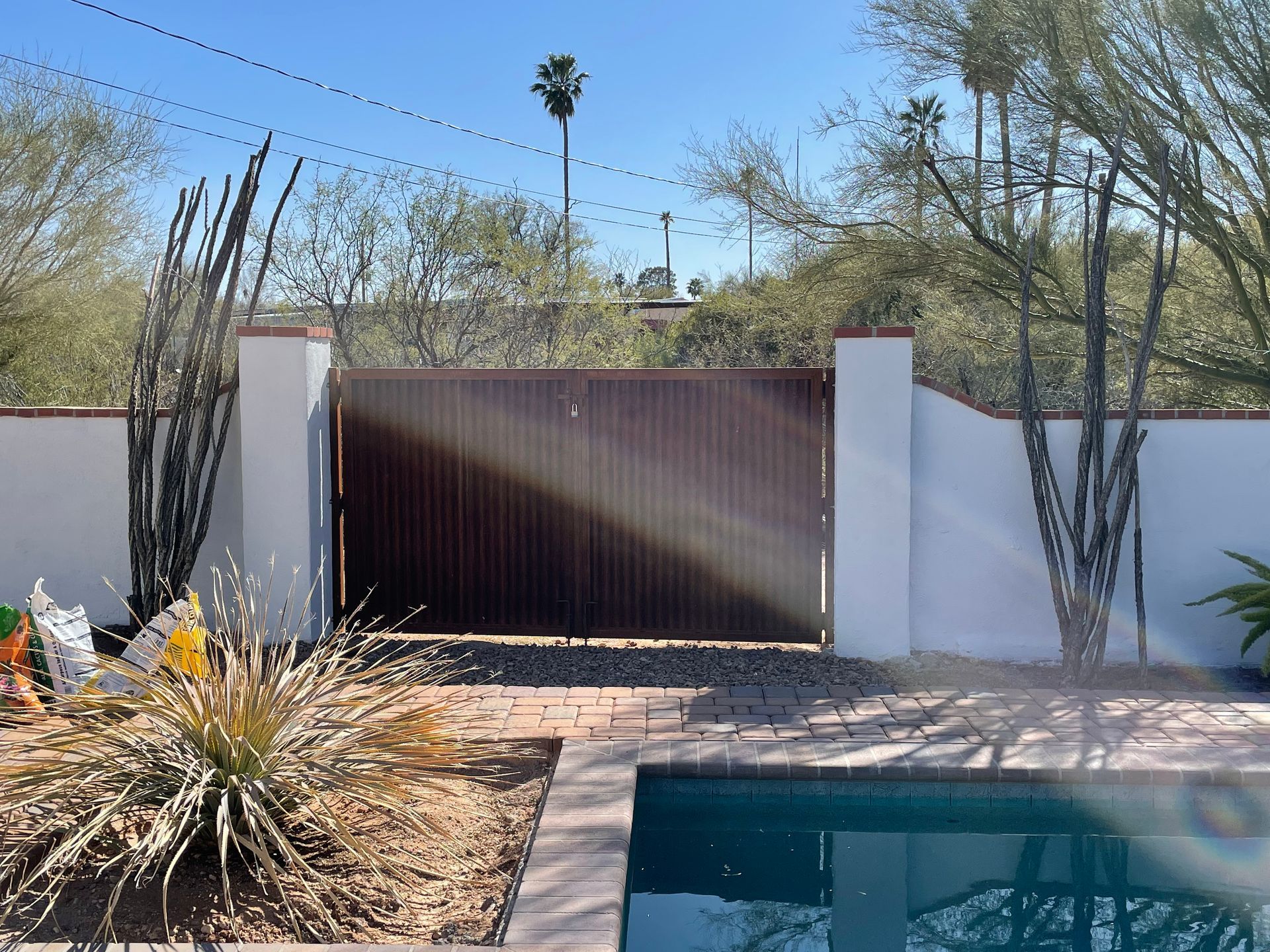 A fence surrounds a swimming pool with a palm tree in the background