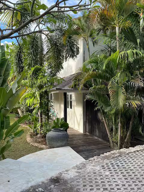 Exterior of a house with lush tropical plants and palm trees, wooden walkway, and gray stone steps.